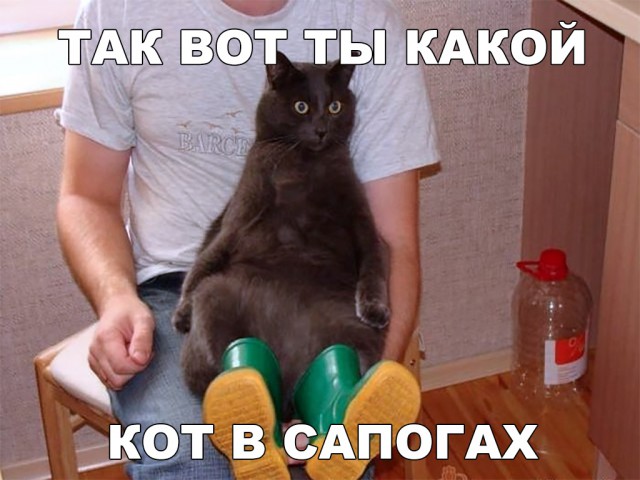 Немного милоты