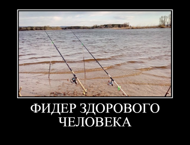 Вот так два центера бодипозитива могут приносить очень неплохие деньги