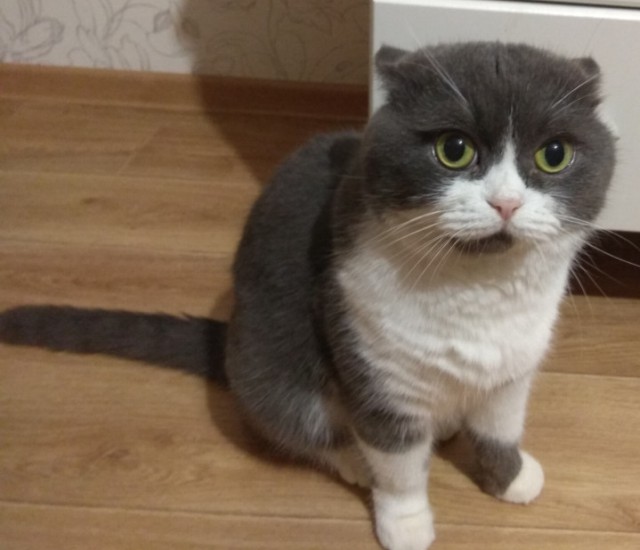 Счастье