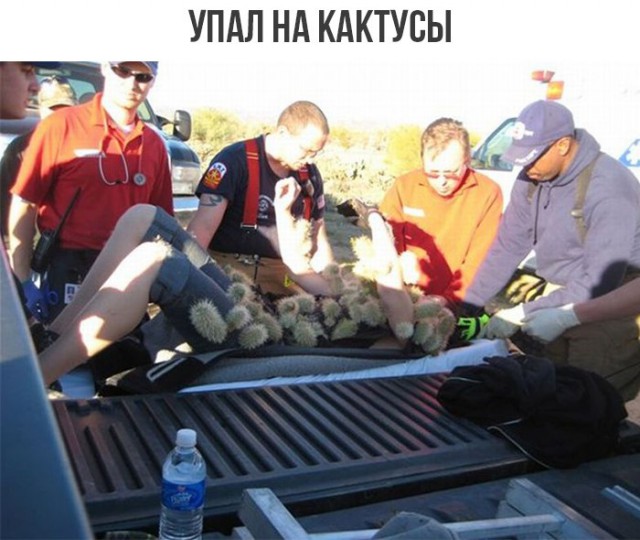 Майские шашлыки закончились. И началась чернуха!