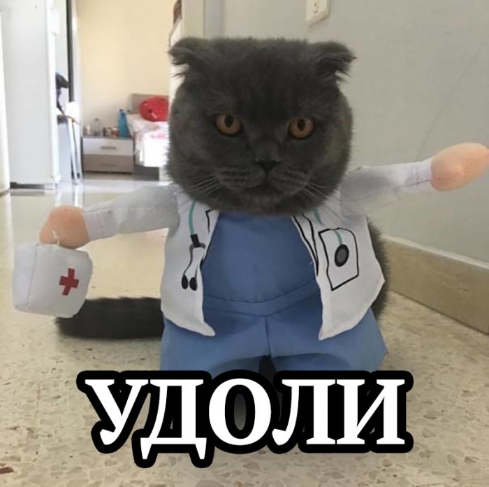 Муж-извращенец?