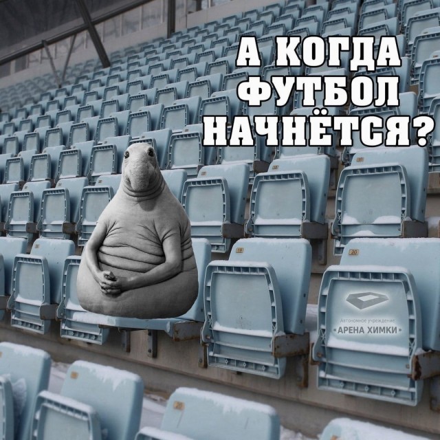 Чемпионат России по футболу 2019-2020. Часть V.