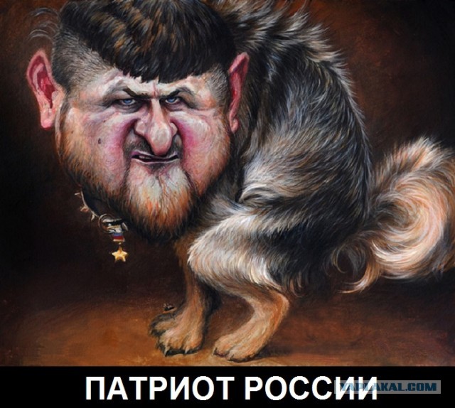 Этот взгляд