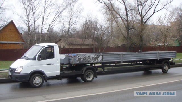 Газель. Просто газель
