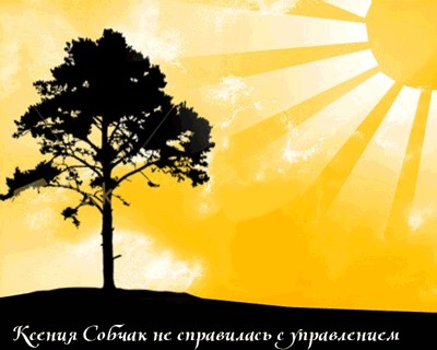 Фотожаба: Лето!