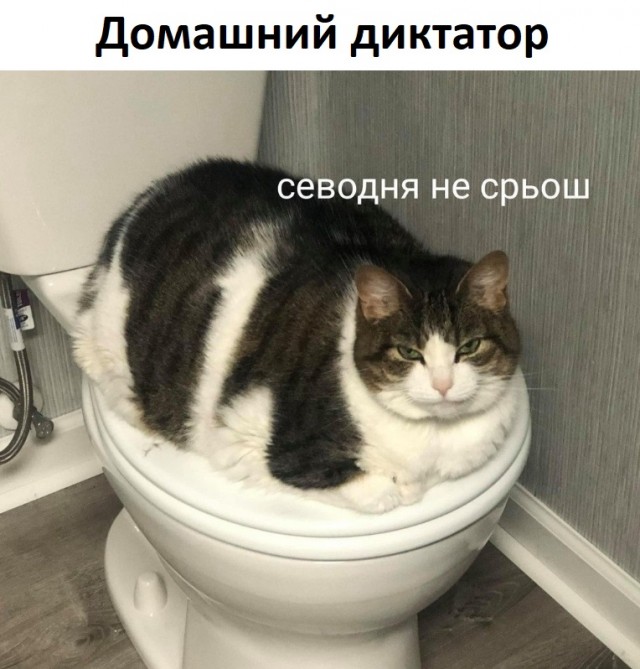 Позитивные картинки на 28.06.2020