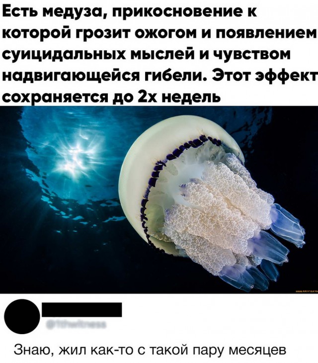 Отовсюду обо всем