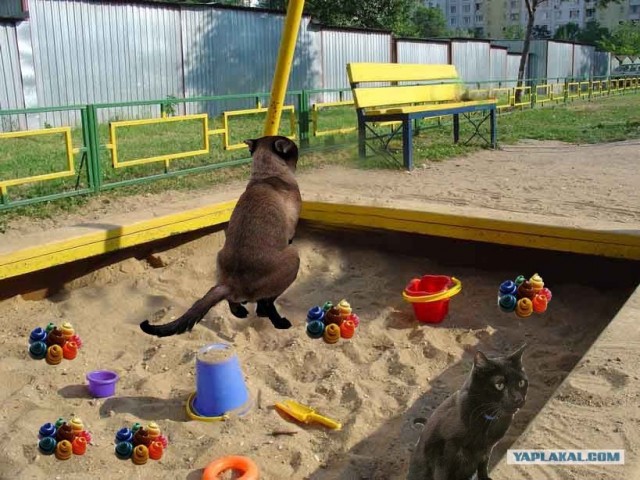 Песочница