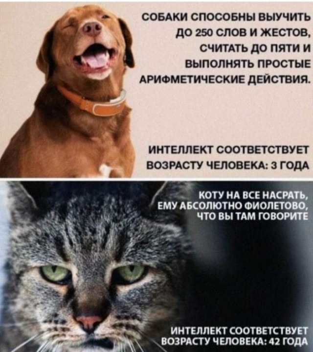 Бредзона 31.01.21