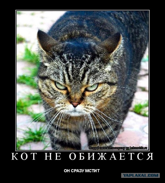 "Ты зачем это сделал, раб?"