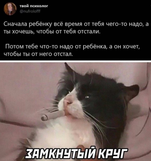 Картинки и мемы для настроения 02.06.2021