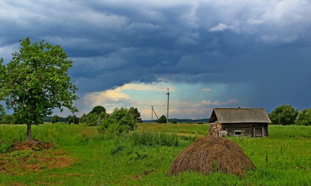 Перед грозой в деревне