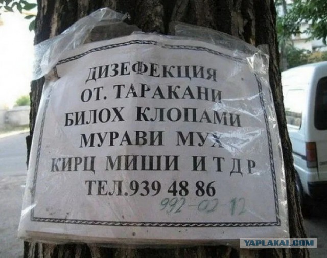 Серфитикат о прививке