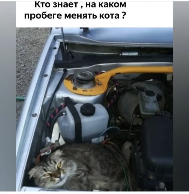 Картинки и мемы для настроения 26.08.2021
