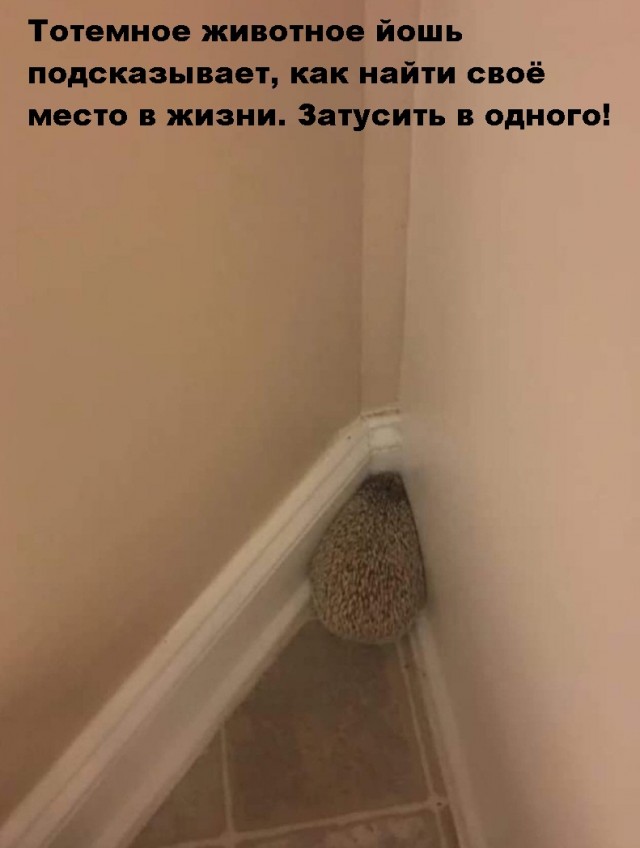 Картинки на субботу 04.12.21