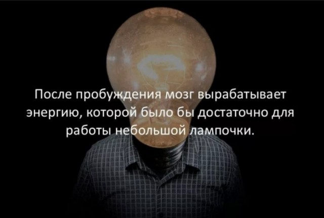 70 удивительных фактов