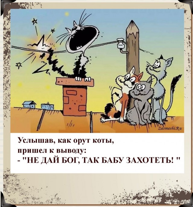 Так себе картинки 21.04.22