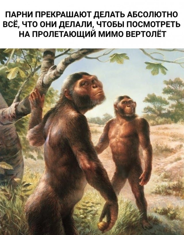 Так себе картинки 06.06.22