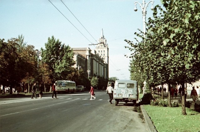 Не Венеция, а Воронеж