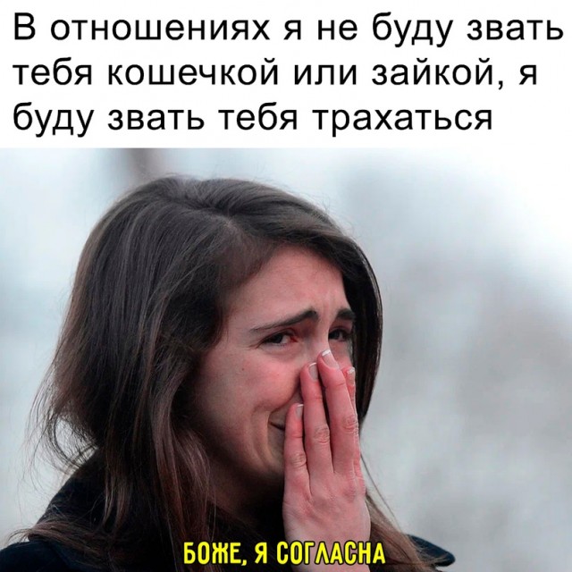 Весёлый полтишок 11.08.22