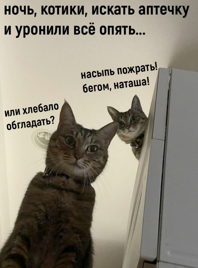 Так себе картинки 09.09.22