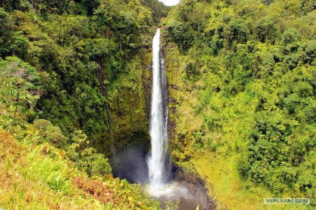 Путешествие на Гавайи