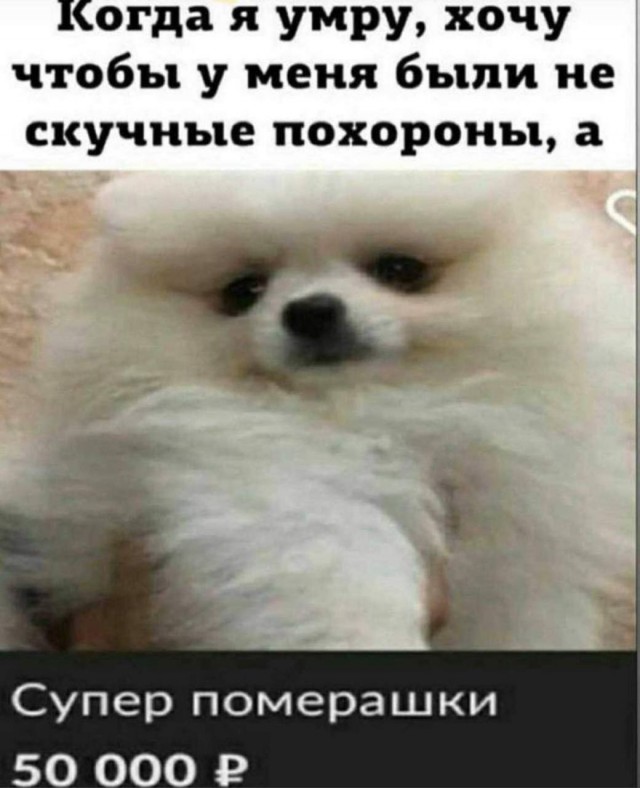 Картинки всякие, развесёлые и не очень.
