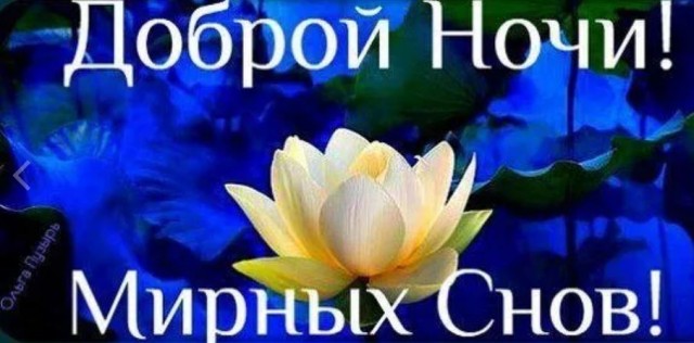 Пандемия съехавших крыш - разновидности болезни. Россия и мир. Часть 42.