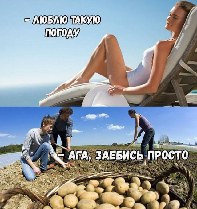 60 картинок