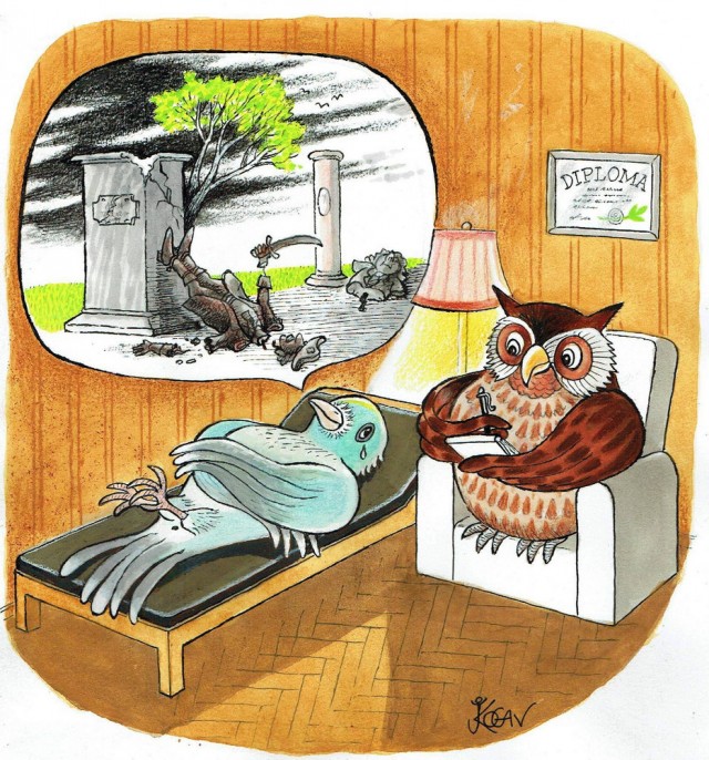 Обычные картинки