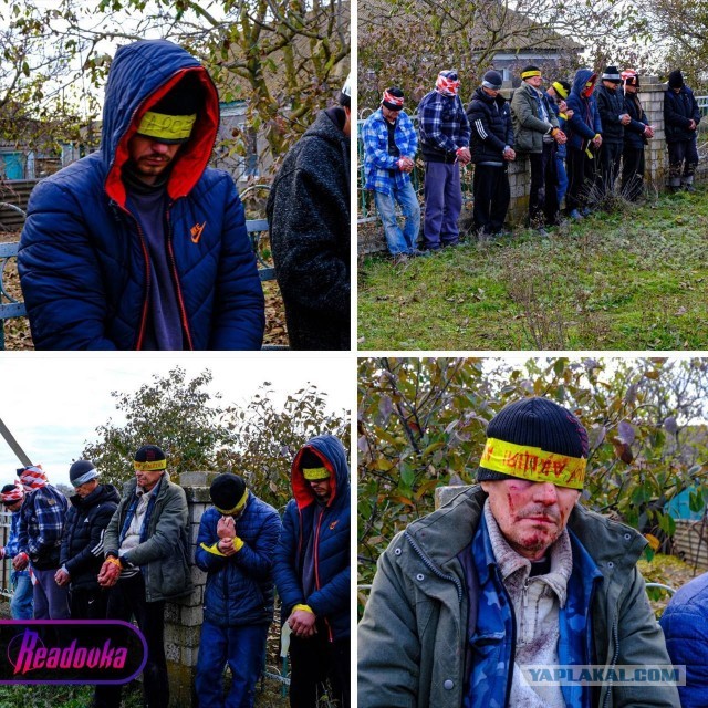 НАТО начинает прозревать?