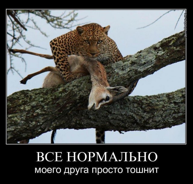 "Легко отделалась"