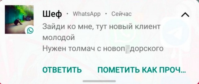 Когда работодатель дал детальное обьяснение, почему кандидат завалил собеседование
