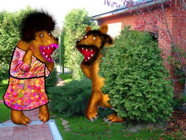 Медведь такой медведь
