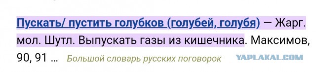 Как моя жена на работу пошла