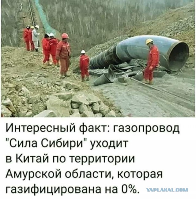 «О победе можно забыть»: перспективы спецоперации трезво оценил политолог Михеев