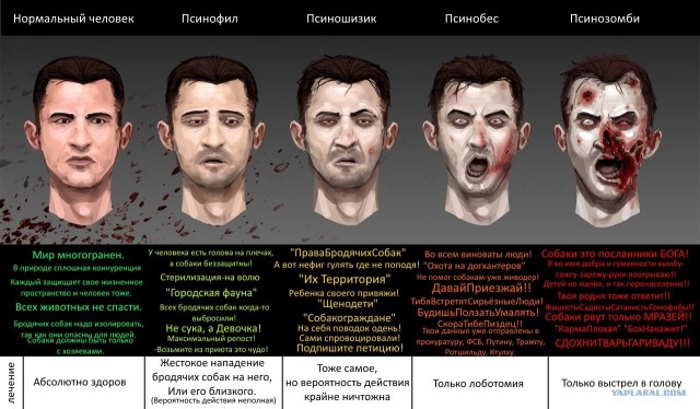 Бездомные собаки насмерть загрызли ребёнка в Оренбурге.