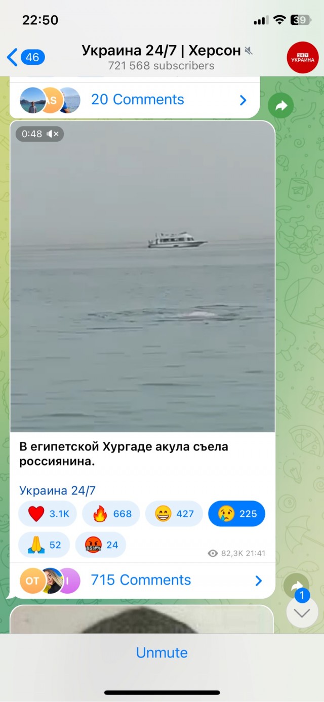 Акула насмерть загрызла мужчину в Хургаде. Всё произошло недалеко от пляжа отеля Dream Beach