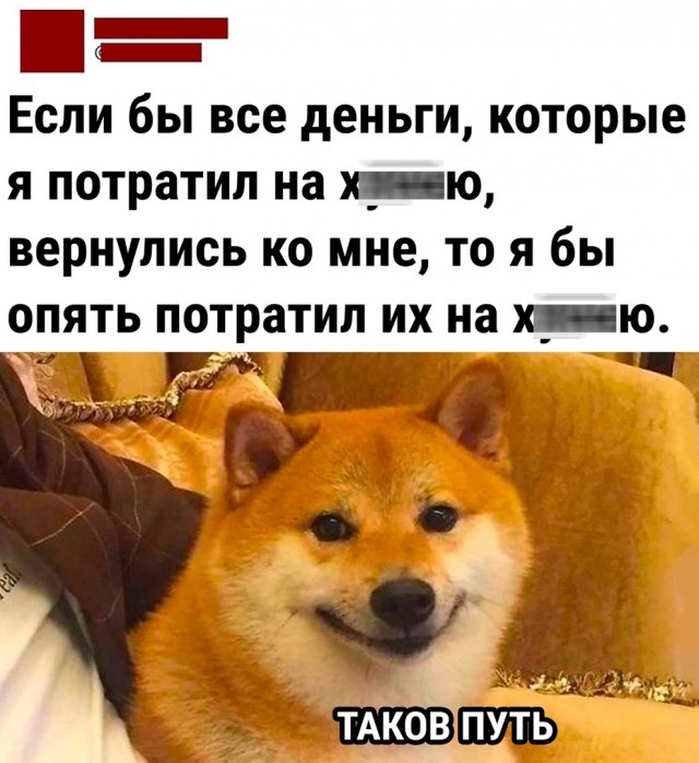 Так себе картинки 13.07.23