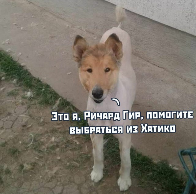 Забавные комментарии из социальных сетей (31.07.23)