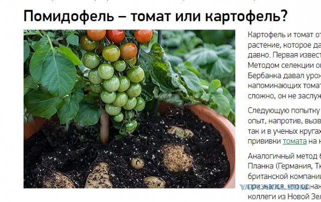 "Дальнобойщики — они до бабы голодные всегда". Исповедь проститутки
