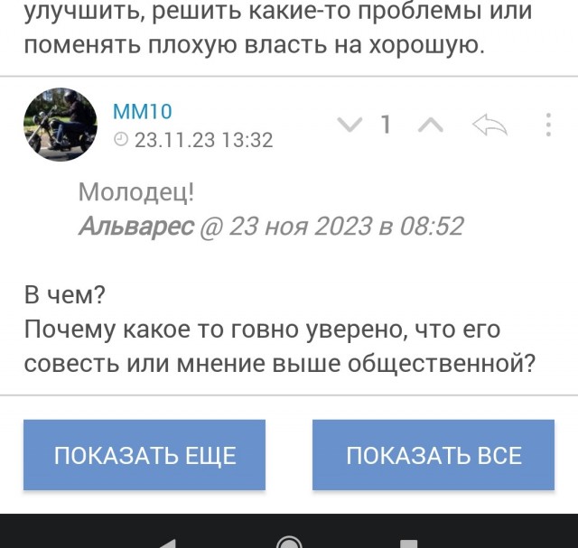 На Урале чиновники срубили ёлку на садовом участке местной жительницы, чтобы установить дерево на главной площади города Миньяр