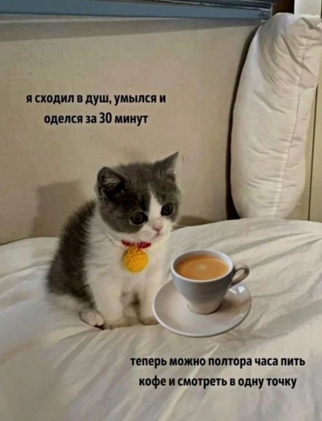 Приколы с налетом деградации