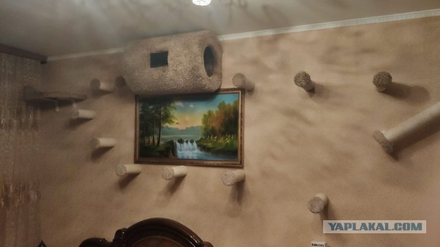 Сделал я своим хозяевам подарок на новый год