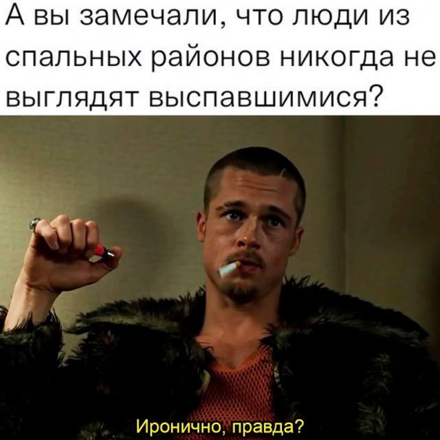 Весёлый полтишок 06.02.24