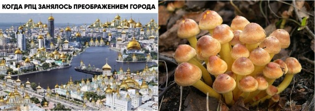 Нужно больше храмов!