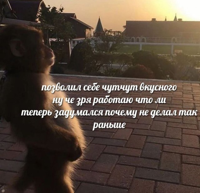 Всего понемногу. От 07.08
