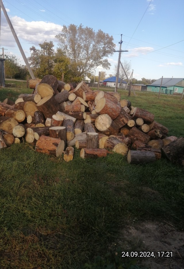 Делюсь теплом,