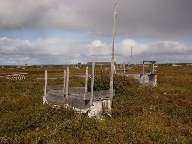 Оборотни против вампиров. Ужастики! Читаем рассказы и голосуем