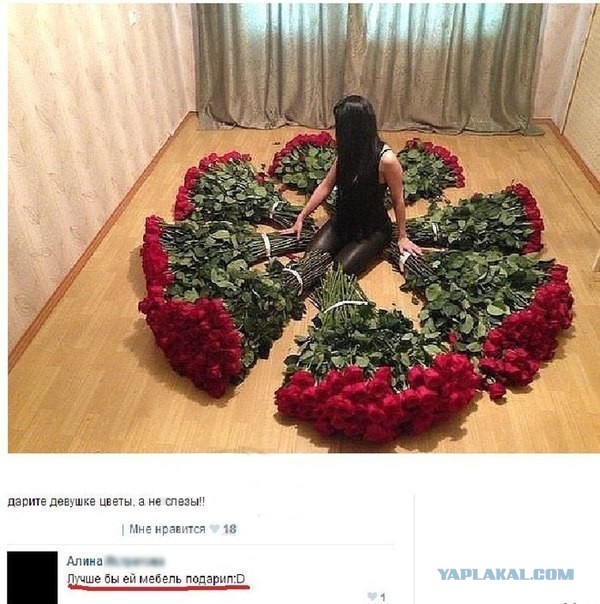 Лучше бы ты был хозяином распила ДСП